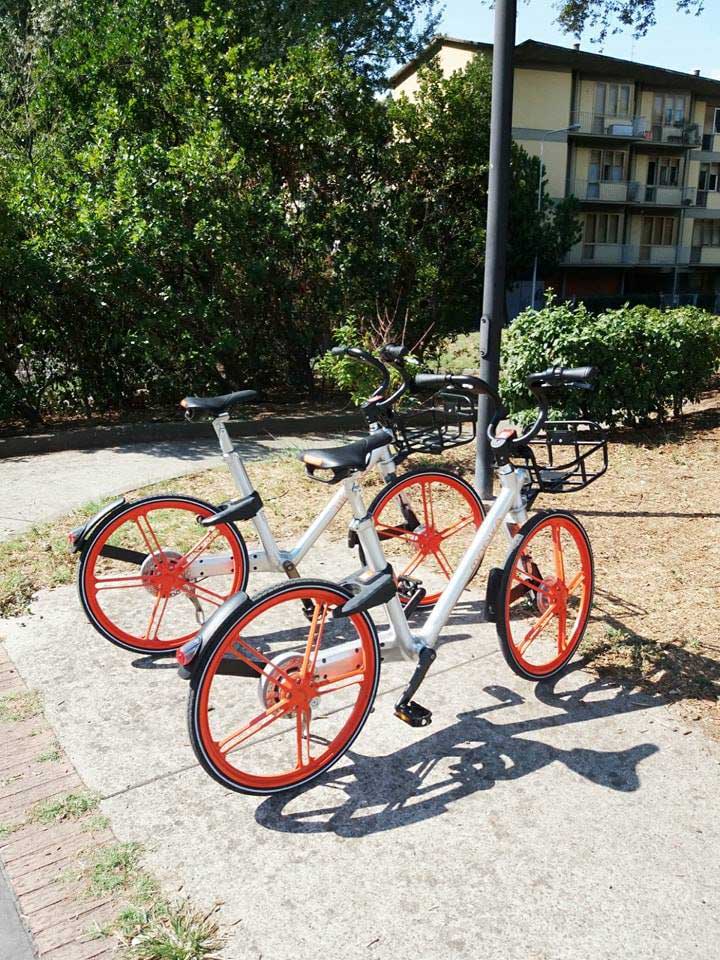 biciclette-del-bike-sharing-a-Firenze-parcheggiate  