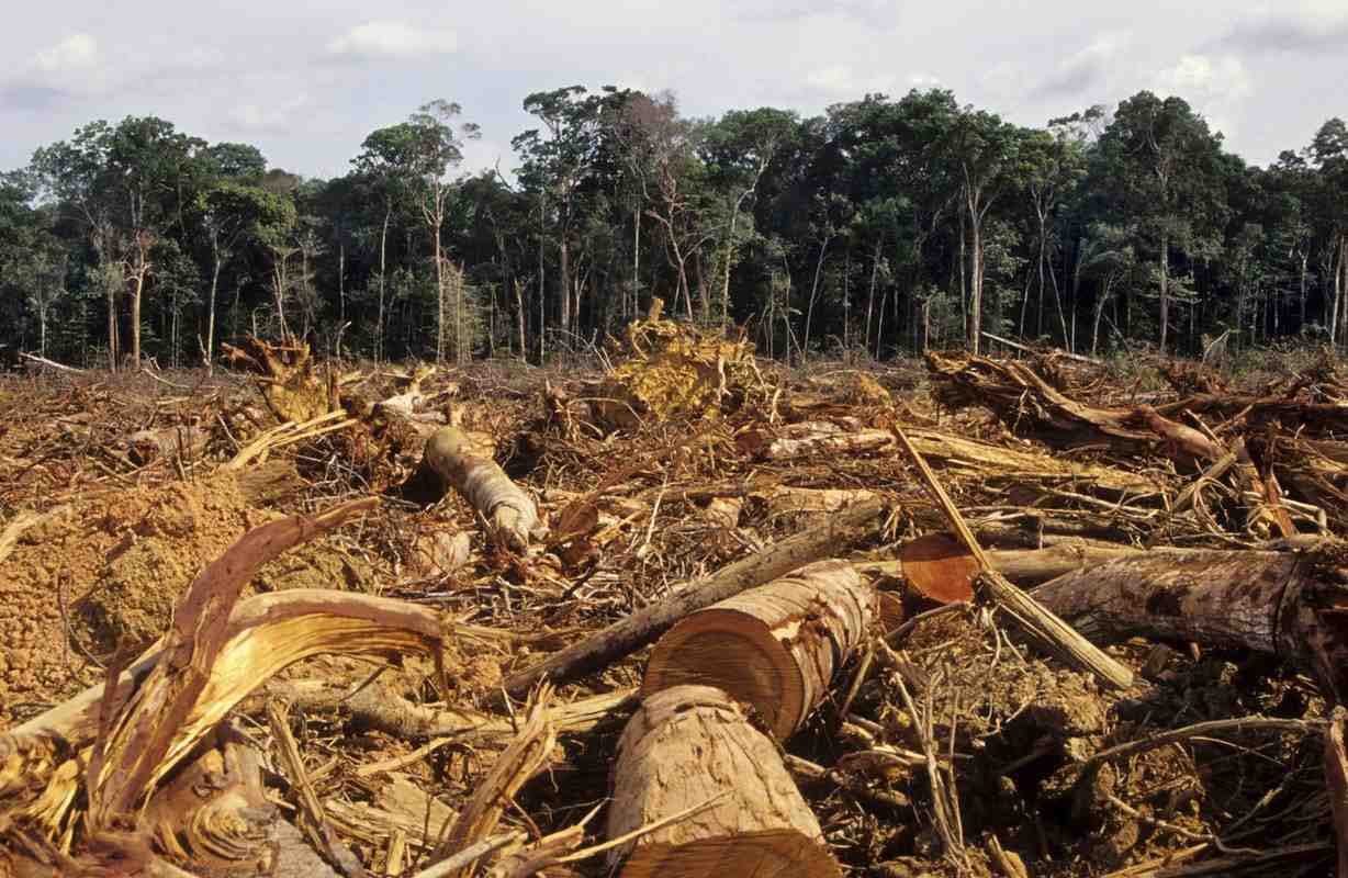 deforestazione-amazzonia