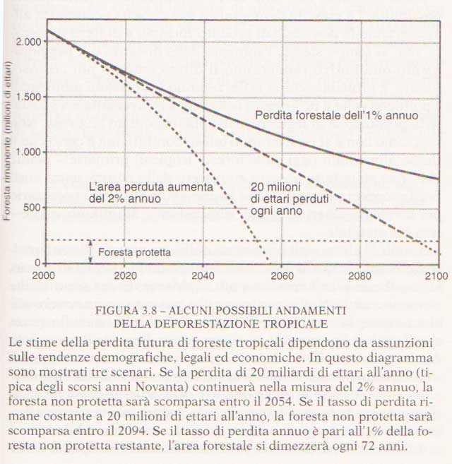 grafico-scenari-di-deforestazione-tratto-dal-libro-I-nuovi-limiti-dello-sviluppo  